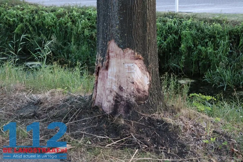 Bestuurder ramt twee bomen op Sluisweg en raakt buiten kennis: wonderbaarlijk lichtgewond Waalwijk 112 De Langstraat