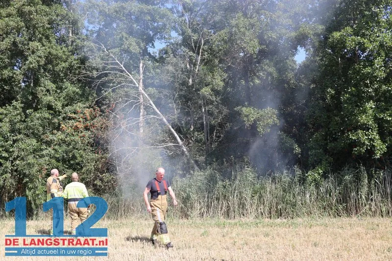 Snelle inzet van brandweer voorkomt grote bosbrand aan Mannenbeemdweg Waalwijk 112 De Langstraat