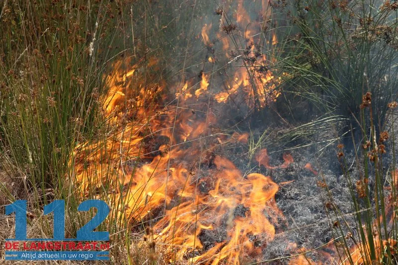 Felle natuurbrand in bosgebied Kruisvaart Sprang-Capelle 112 De Langstraat