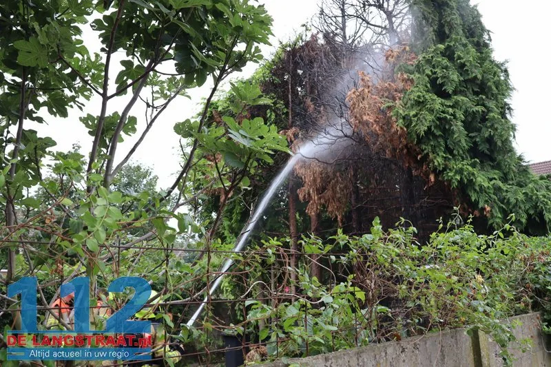 Brandweer blust brandende coniferen na stoken in tuin Waalwijk 112 De Langstraat