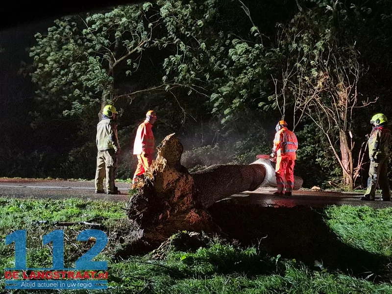 Storm blaast grote boom omver in Waspik 1 Storm blaast grote boom omver in Waspik 112 De Langstraat