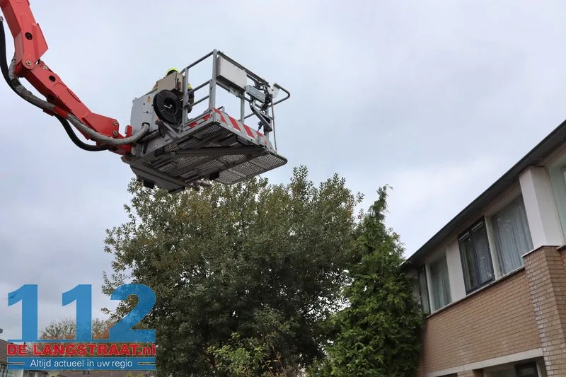 Brandweer redt kat uit top van conifeer aan Johann Straussstraat met hoogwerker Waalwijk 112 De Langstraat