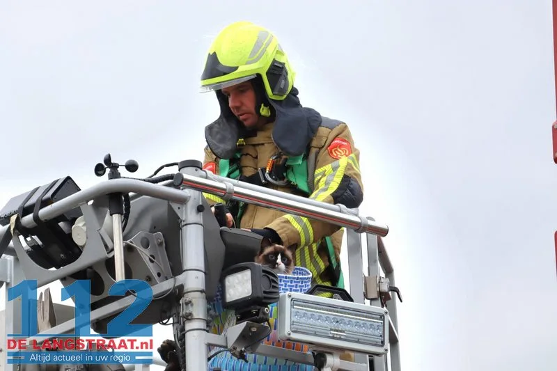 Brandweer redt kat uit top van conifeer aan Johann Straussstraat met hoogwerker Waalwijk 112 De Langstraat