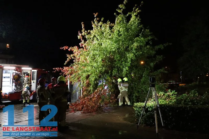 Storm Austen veroorzaakt stormschade aan Heermanslaan: Boom waait om op fietspad en bushokje 1 Storm Austen veroorzaakt stormschade aan Heermanslaan: Boom waait om op fietspad en bushokje 112 De Langstraat