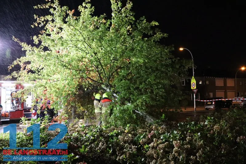 Storm Austen veroorzaakt stormschade aan Heermanslaan: Boom waait om op fietspad en bushokje 2 Storm Austen veroorzaakt stormschade aan Heermanslaan: Boom waait om op fietspad en bushokje 112 De Langstraat