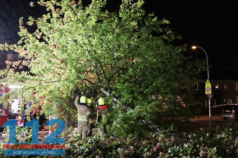 Storm Austen veroorzaakt stormschade aan Heermanslaan: Boom waait om op fietspad en bushokje 3 Storm Austen veroorzaakt stormschade aan Heermanslaan: Boom waait om op fietspad en bushokje 112 De Langstraat
