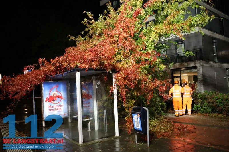 Storm Austen veroorzaakt stormschade aan Heermanslaan: Boom waait om op fietspad en bushokje 8 Storm Austen veroorzaakt stormschade aan Heermanslaan: Boom waait om op fietspad en bushokje 112 De Langstraat