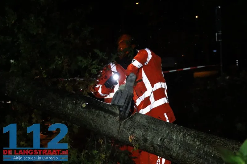 Storm Austen veroorzaakt stormschade aan Heermanslaan: Boom waait om op fietspad en bushokje 9 Storm Austen veroorzaakt stormschade aan Heermanslaan: Boom waait om op fietspad en bushokje 112 De Langstraat