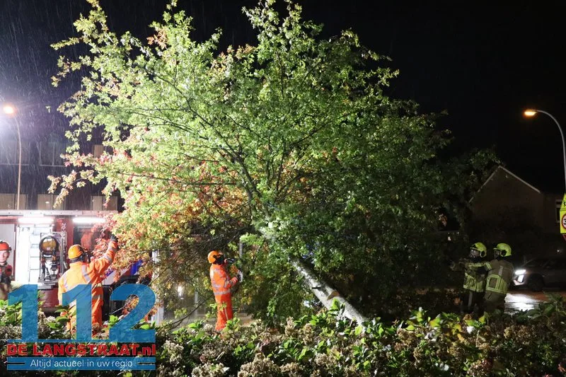 Storm Austen veroorzaakt stormschade aan Heermanslaan: Boom waait om op fietspad en bushokje 11 Storm Austen veroorzaakt stormschade aan Heermanslaan: Boom waait om op fietspad en bushokje 112 De Langstraat