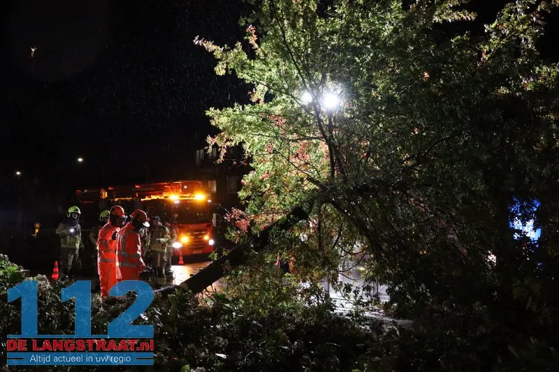 Storm Austen veroorzaakt stormschade aan Heermanslaan: Boom waait om op fietspad en bushokje 12 Storm Austen veroorzaakt stormschade aan Heermanslaan: Boom waait om op fietspad en bushokje 112 De Langstraat