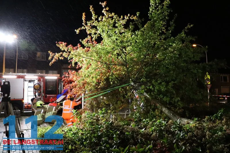 Storm Austen veroorzaakt stormschade aan Heermanslaan: Boom waait om op fietspad en bushokje 13 Storm Austen veroorzaakt stormschade aan Heermanslaan: Boom waait om op fietspad en bushokje 112 De Langstraat