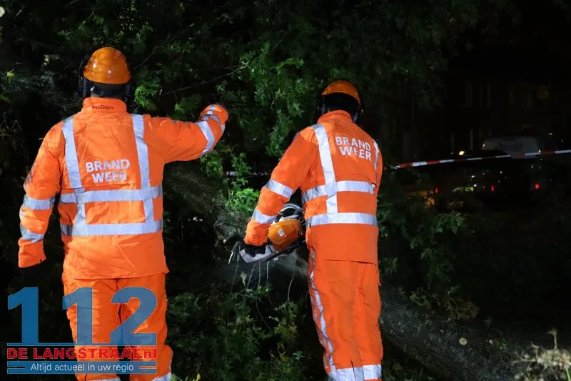 Storm Austen veroorzaakt stormschade aan Heermanslaan: Boom waait om op fietspad en bushokje 14 Storm Austen veroorzaakt stormschade aan Heermanslaan: Boom waait om op fietspad en bushokje 112 De Langstraat