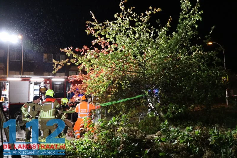 Storm Austen veroorzaakt stormschade aan Heermanslaan: Boom waait om op fietspad en bushokje 15 Storm Austen veroorzaakt stormschade aan Heermanslaan: Boom waait om op fietspad en bushokje 112 De Langstraat