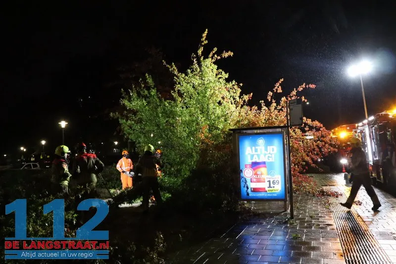 Storm Austen veroorzaakt stormschade aan Heermanslaan: Boom waait om op fietspad en bushokje 17 Storm Austen veroorzaakt stormschade aan Heermanslaan: Boom waait om op fietspad en bushokje 112 De Langstraat