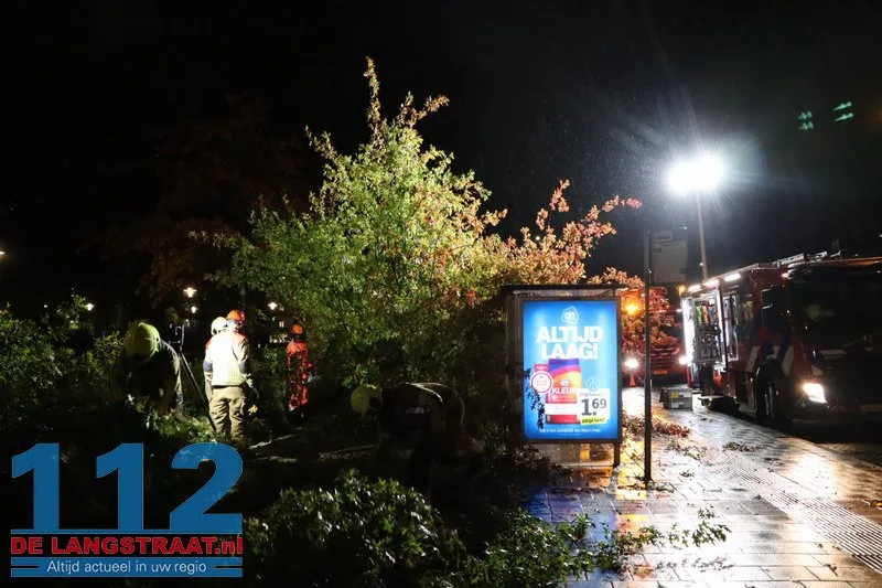 Storm Austen veroorzaakt stormschade aan Heermanslaan: Boom waait om op fietspad en bushokje 18 Storm Austen veroorzaakt stormschade aan Heermanslaan: Boom waait om op fietspad en bushokje 112 De Langstraat