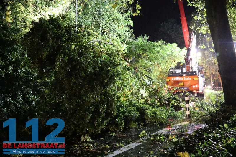 Meerdere bomen omgewaaid door storm Austen in Sprang-Capelle 112 De Langstraat