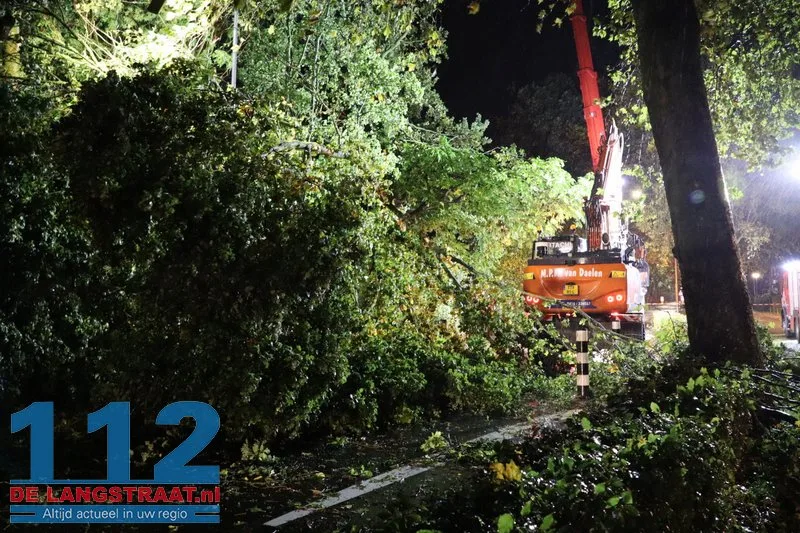 Meerdere bomen omgewaaid door storm Austen in Sprang-Capelle 112 De Langstraat
