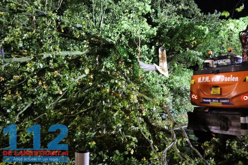 Meerdere bomen omgewaaid door storm Austen in Sprang-Capelle 112 De Langstraat
