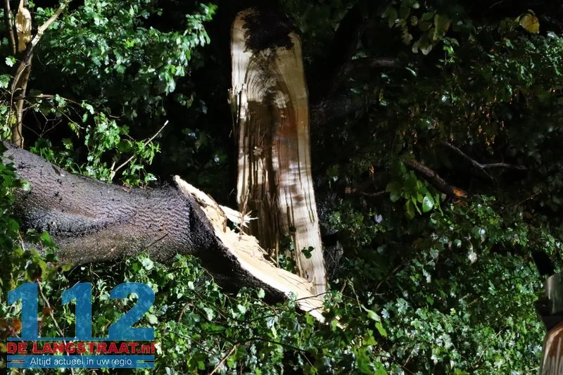Meerdere bomen omgewaaid door storm Austen in Sprang-Capelle 112 De Langstraat