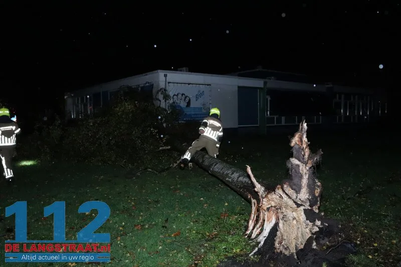 Meerdere bomen omgewaaid door storm Austen in Sprang-Capelle 112 De Langstraat