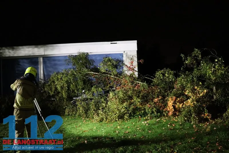 Meerdere bomen omgewaaid door storm Austen in Sprang-Capelle 112 De Langstraat