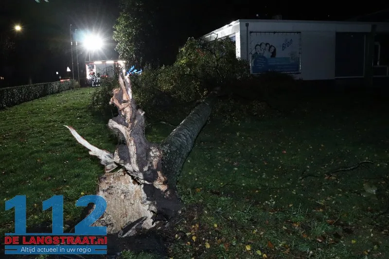 Meerdere bomen omgewaaid door storm Austen in Sprang-Capelle 112 De Langstraat