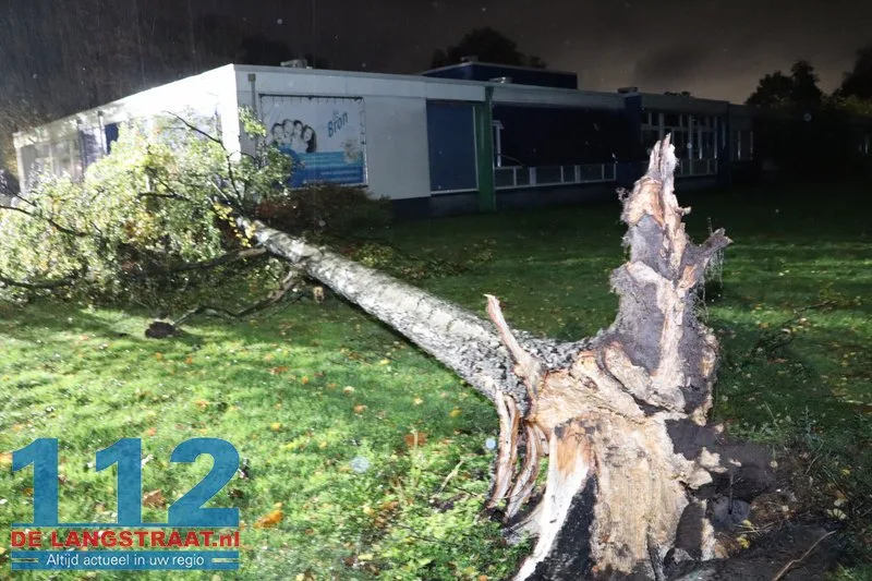 Meerdere bomen omgewaaid door storm Austen in Sprang-Capelle 112 De Langstraat