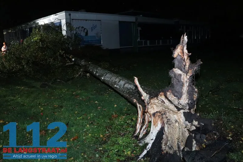 Meerdere bomen omgewaaid door storm Austen in Sprang-Capelle 112 De Langstraat