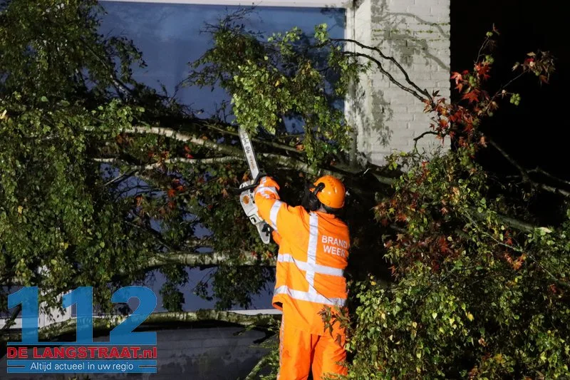 Meerdere bomen omgewaaid door storm Austen in Sprang-Capelle 112 De Langstraat
