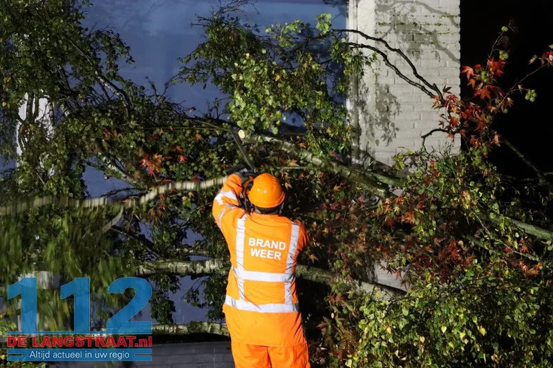 Meerdere bomen omgewaaid door storm Austen in Sprang-Capelle 112 De Langstraat