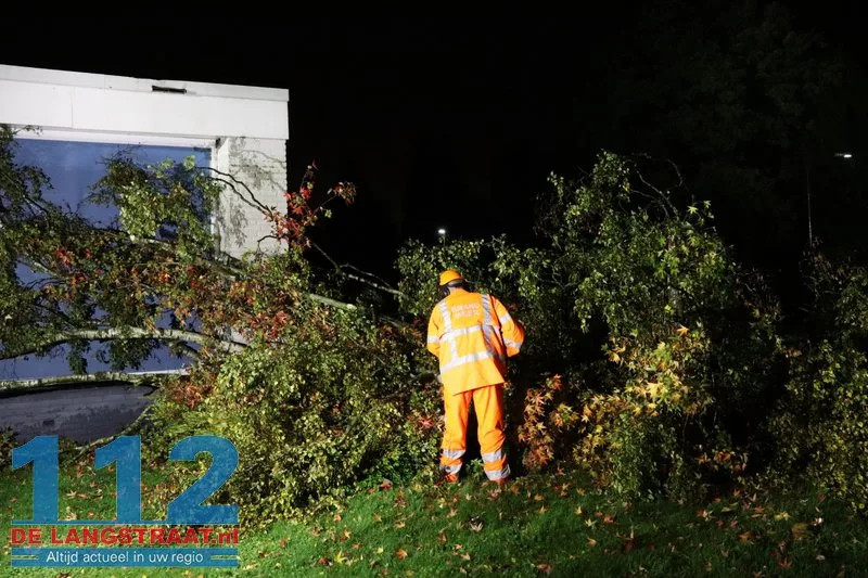 Meerdere bomen omgewaaid door storm Austen in Sprang-Capelle 112 De Langstraat