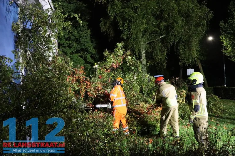 Meerdere bomen omgewaaid door storm Austen in Sprang-Capelle 112 De Langstraat