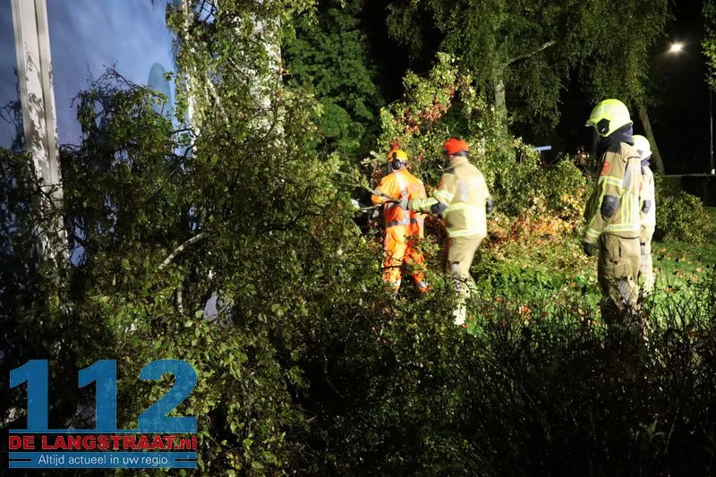 Meerdere bomen omgewaaid door storm Austen in Sprang-Capelle 112 De Langstraat