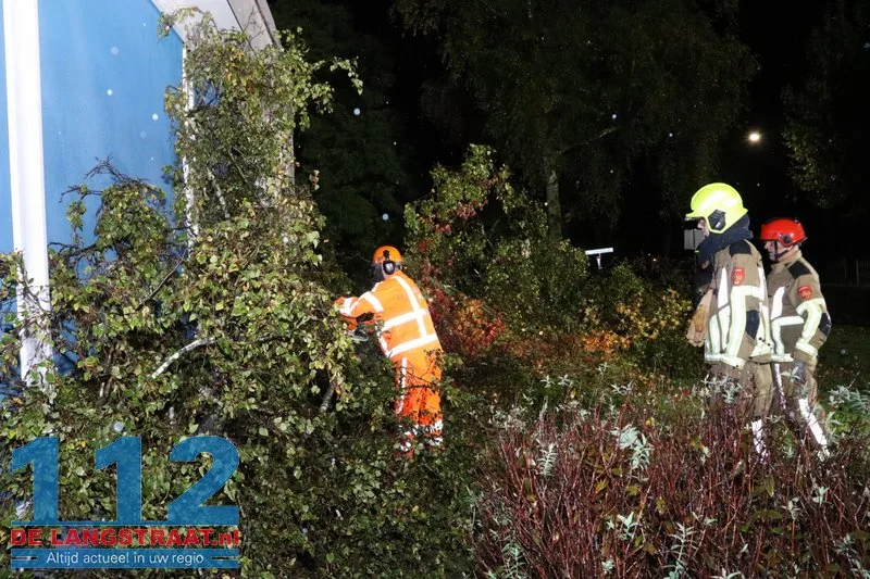 Meerdere bomen omgewaaid door storm Austen in Sprang-Capelle 112 De Langstraat