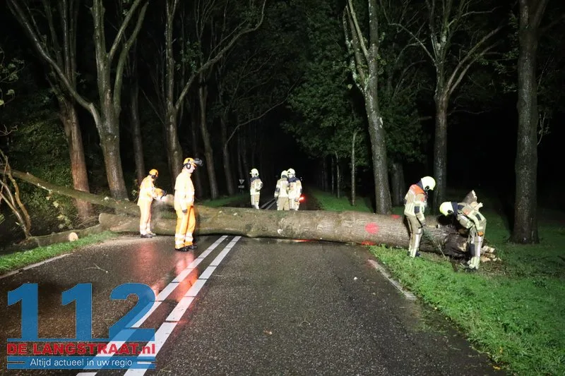 Storm blaast grote boom omver in Waspik 4 Storm blaast grote boom omver in Waspik 112 De Langstraat