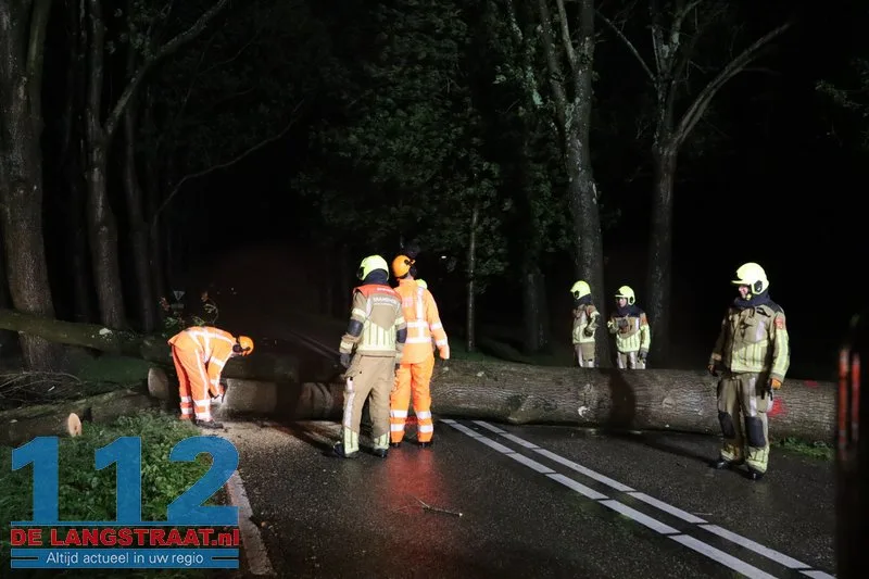 Storm blaast grote boom omver in Waspik 6 Storm blaast grote boom omver in Waspik 112 De Langstraat