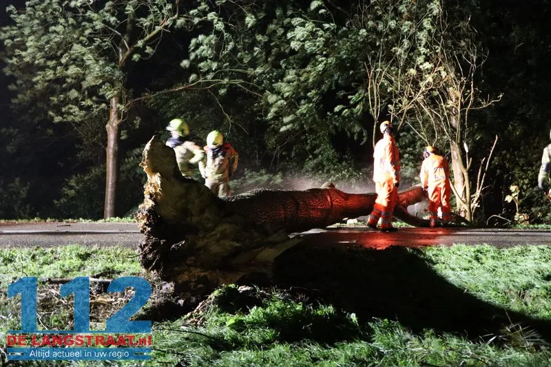 Storm blaast grote boom omver in Waspik 7 Storm blaast grote boom omver in Waspik 112 De Langstraat