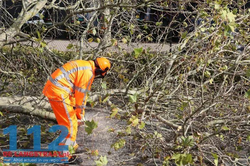 Boom dreigt om te vallen, brandweer zaagt boom om Kaatsheuvel 112 De Langstraat