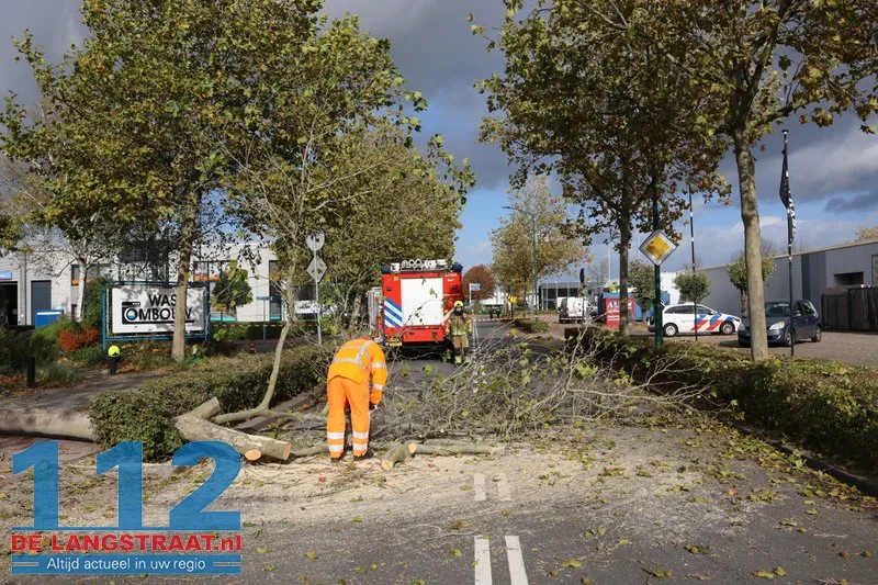 Boom dreigt om te vallen, brandweer zaagt boom om Kaatsheuvel 112 De Langstraat